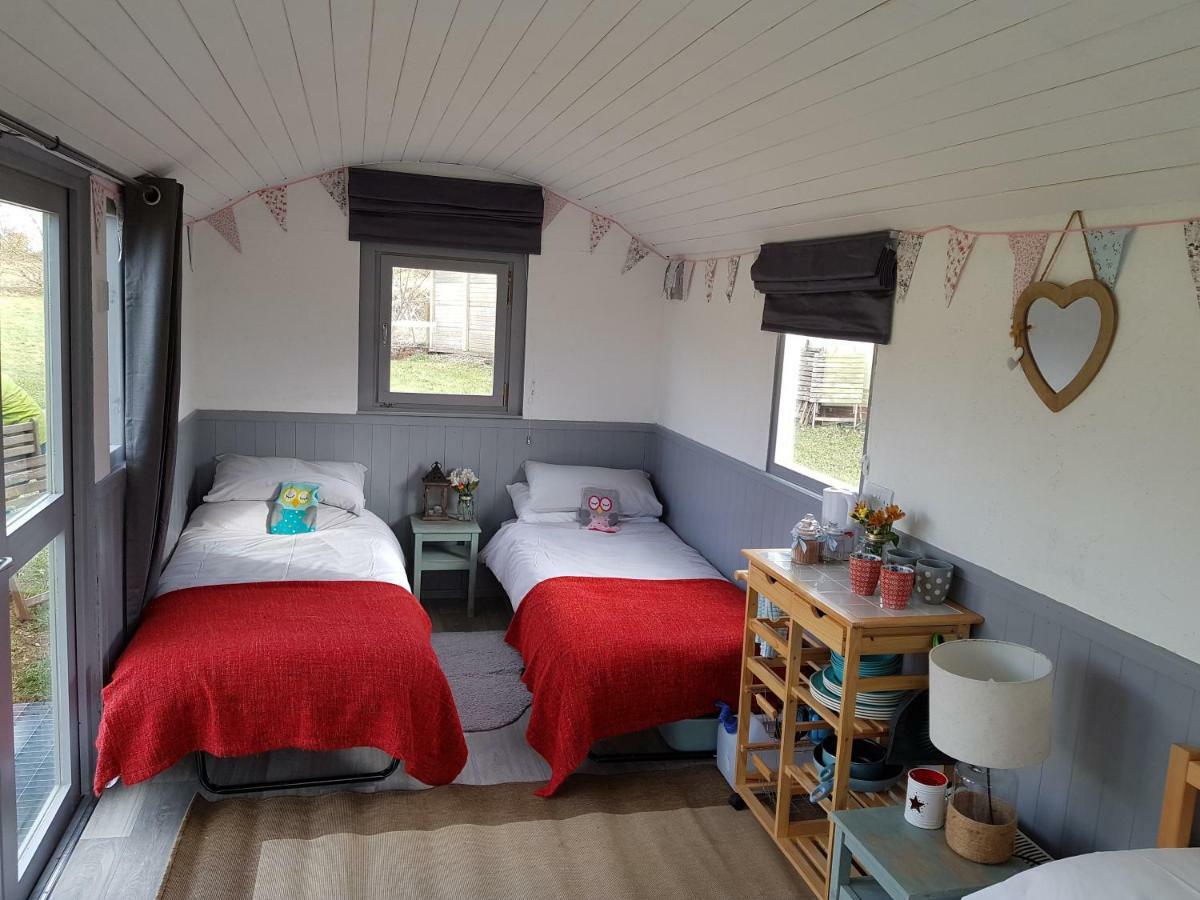 Acorn Camping And Caravan Park คลานท์วิท เมเจอร์ ภายนอก รูปภาพ